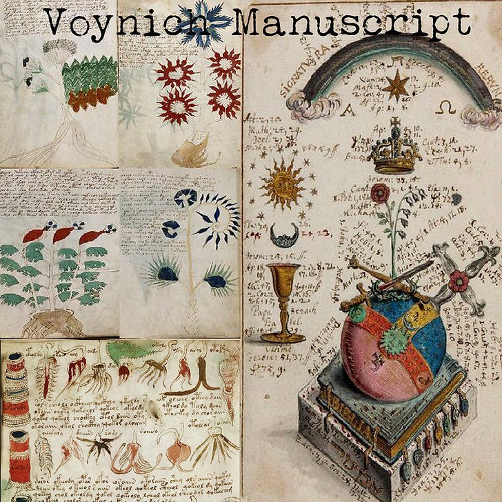 Voynich Manuskripti