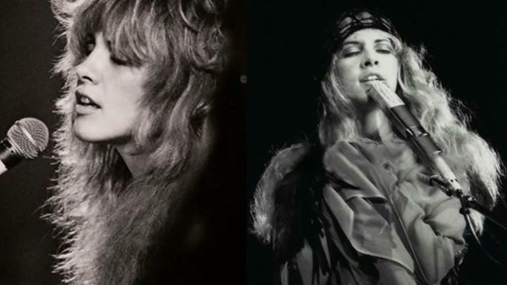Stevie Nicks