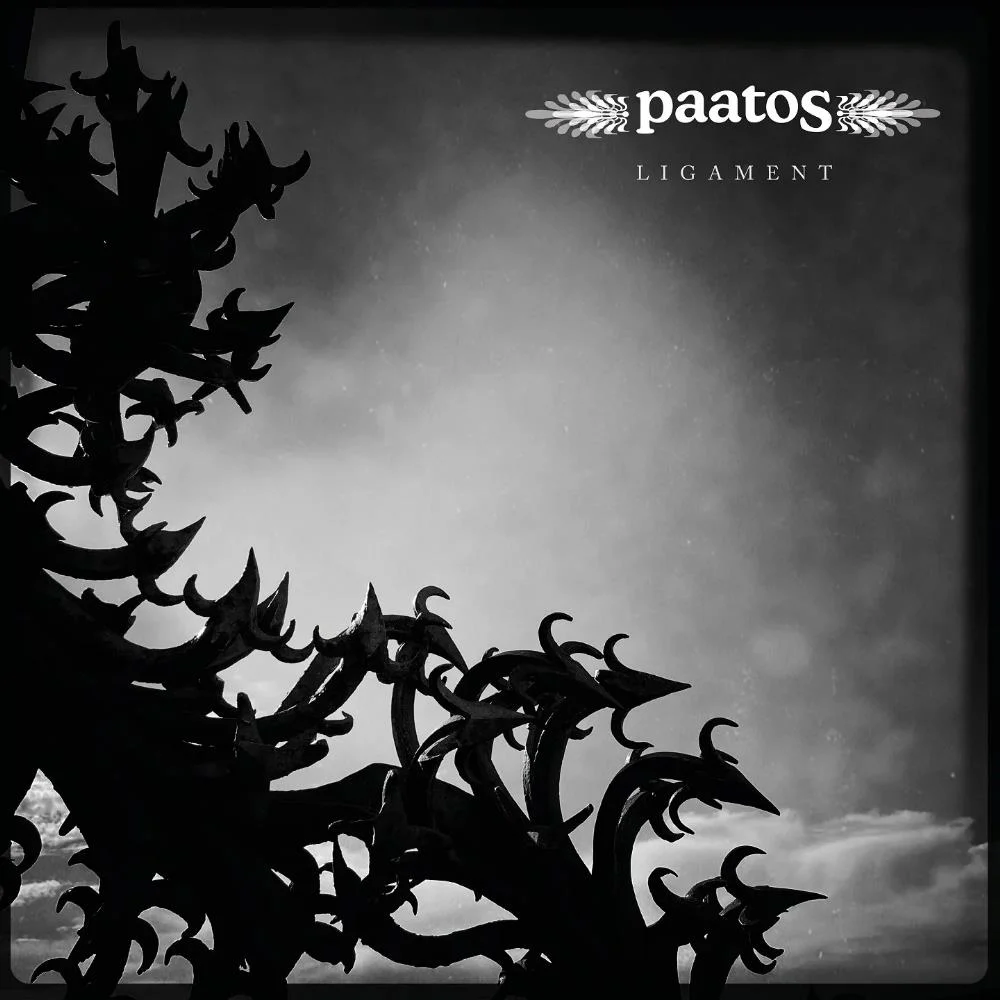 Paatos - Ligament