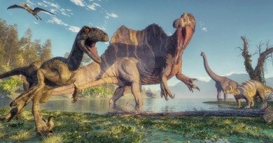 Çin’de 125 Milyon Yıllık Dinozor Türleri Bulundu