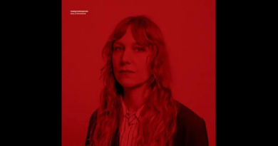 Hedvig Mollestad Trio - Bees in the Bonnet
