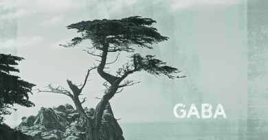 Rainbow Bridge - GABA