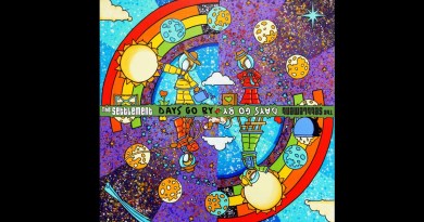 The Settlement - Days Go By